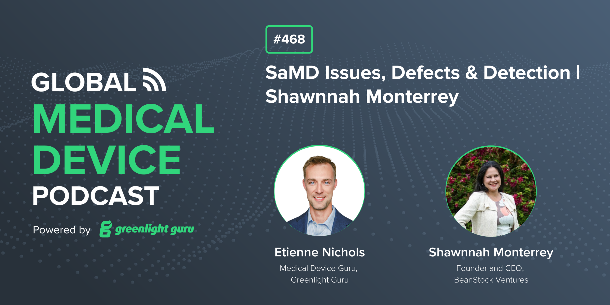 SaMD Issues, Defects & Detection